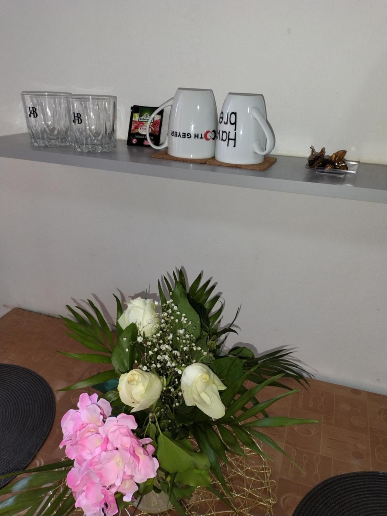 Apartamento Regy Oradea Exterior foto